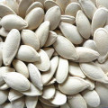 Raw pumpkin seeds from Inner Mongolia